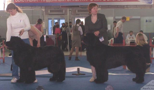 Фотография № 26200