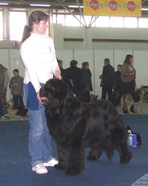 Фотография № 26201