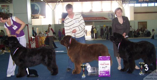 Фотография № 26202