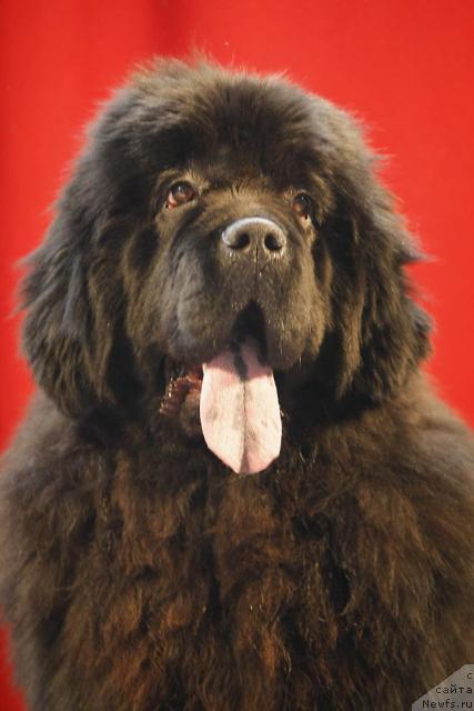 Фотография № 26335