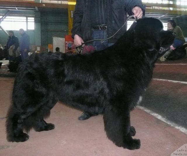 Фотография № 26339