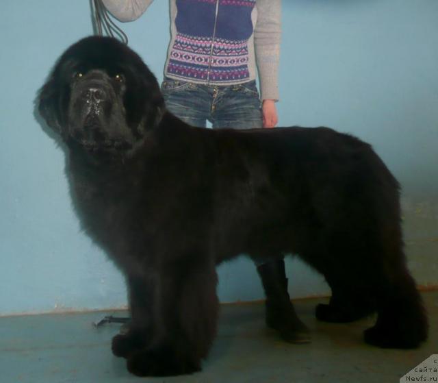 Фотография № 26341