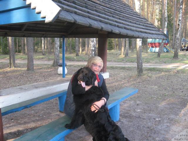 Фото: ньюфаундленд Polnochnaya Zvezda (Полночная Звезда), Ol'ga Portnyakova (Ольга Портнякова)