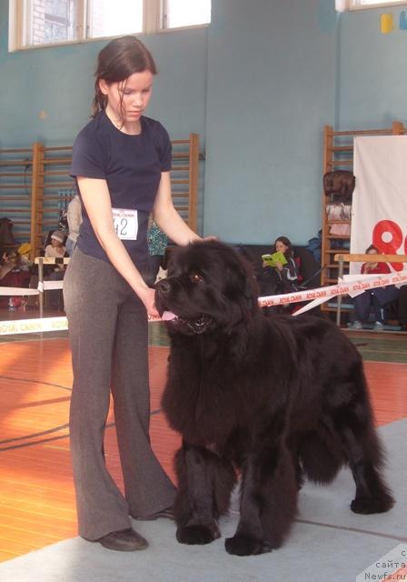 Фотография № 26387