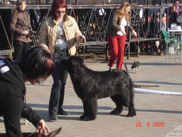 Фотография № 26389