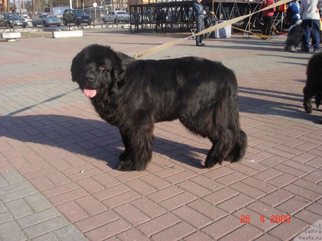 Фотография № 26390