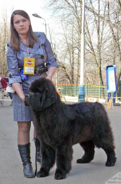 Фотография № 26419