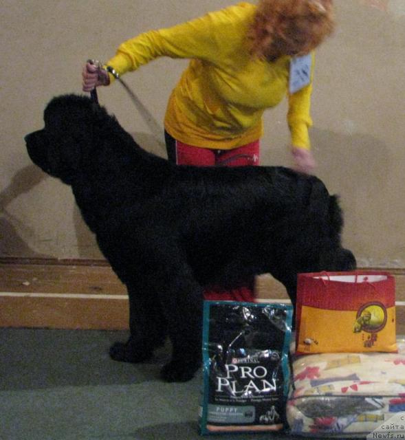 Фотография № 26547