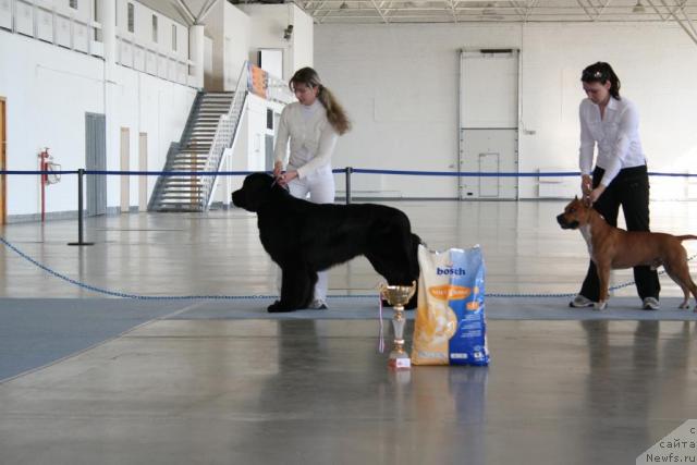 Фотография № 26587