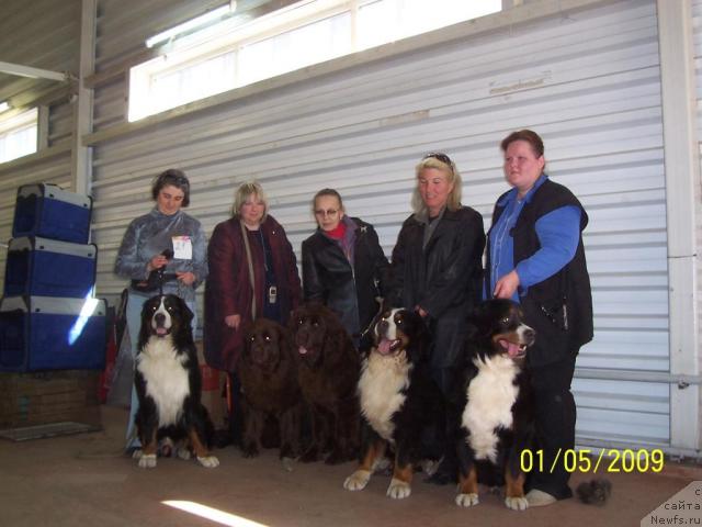 Фотография № 26589