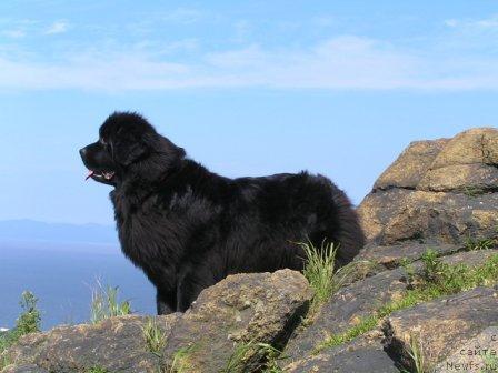 Фотография № 2659