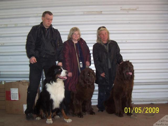 Фотография № 26590