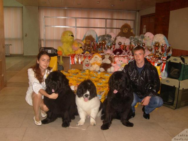 Фотография № 26596