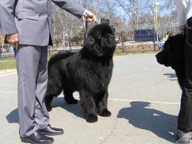 Фотография № 26621