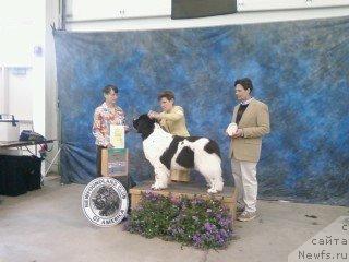 Фотография № 26649