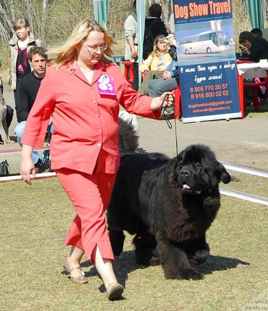 Фотография № 26659