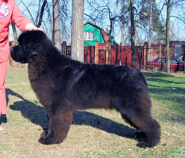 Фотография № 26664