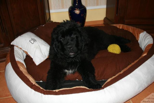 Фото: [p1290]Лав Стори из Тихого омута