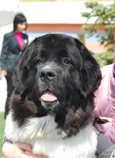 Фотография № 26669