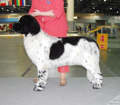 Фотография № 26672