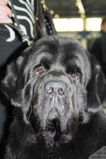 Фотография № 26680