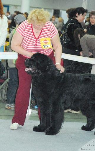 Фотография № 26685