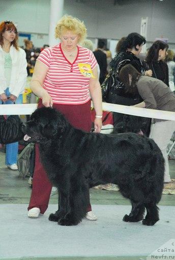 Фотография № 26686