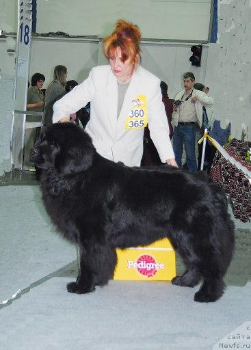 Фотография № 26688