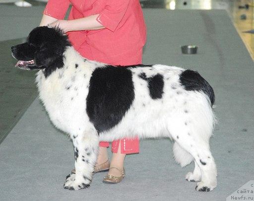 Фотография № 26689