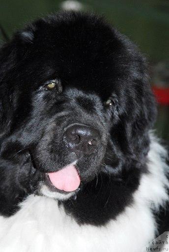 Фотография № 26695