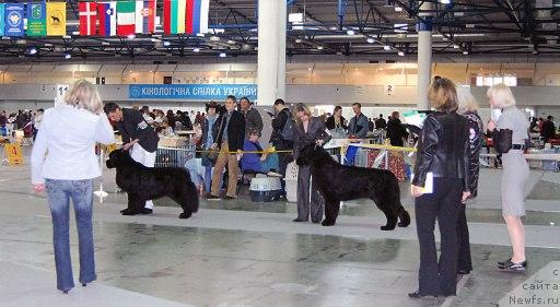 Фотография № 26698