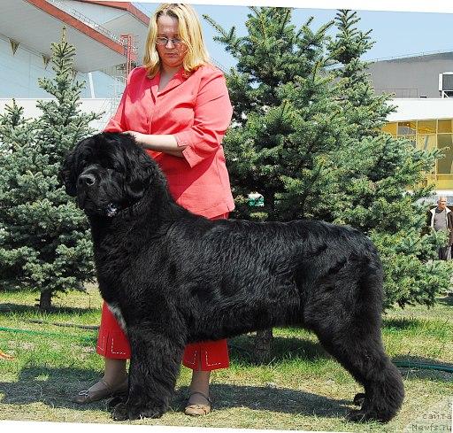 Фотография № 26700