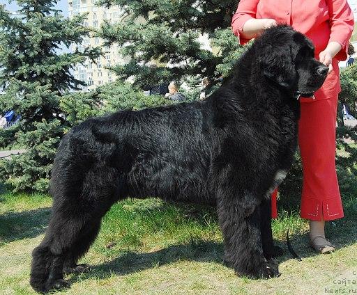 Фотография № 26705