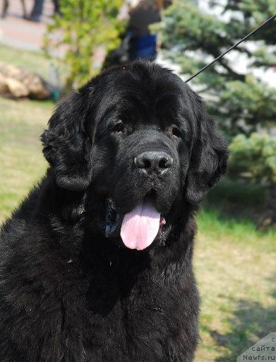 Фотография № 26708