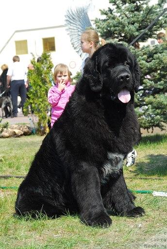 Фотография № 26710