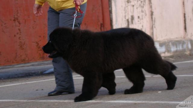 Фото: Сент Джонс Рокко Стелла ди Сант Эрамо