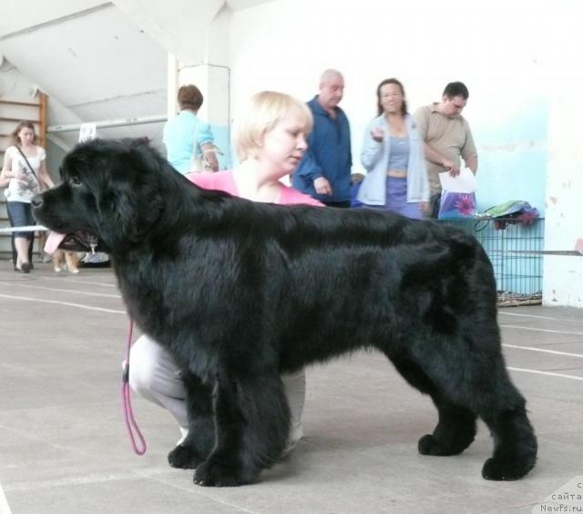 Фотография № 26821