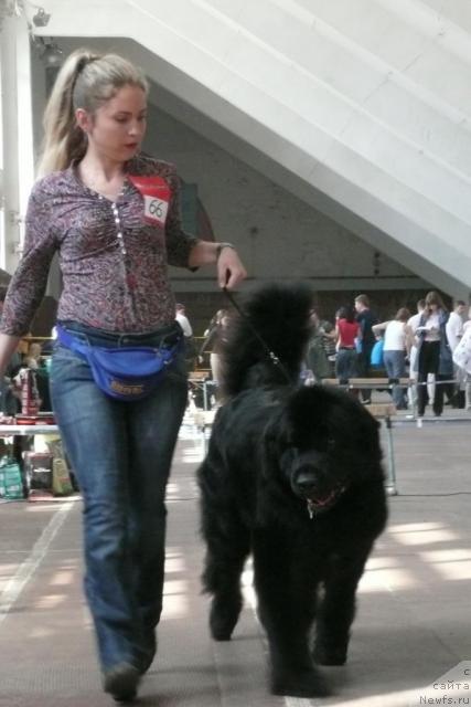 Фотография № 26822