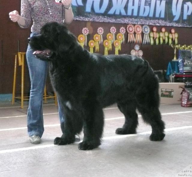 Фотография № 26823