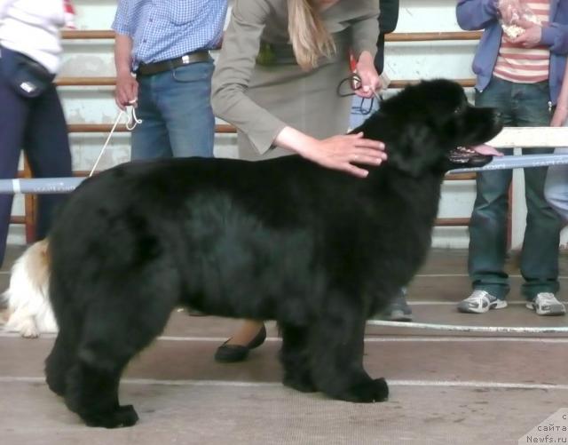 Фотография № 26825