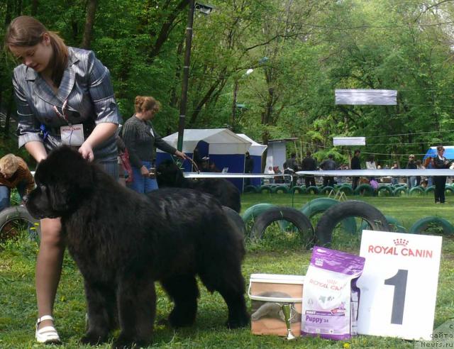 Фотография № 26893