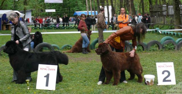 Фотография № 26898