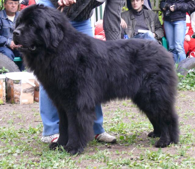 Фотография № 26899