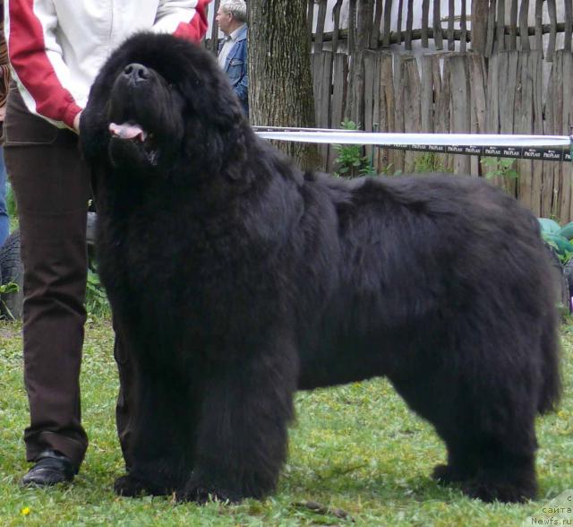 Фотография № 26903