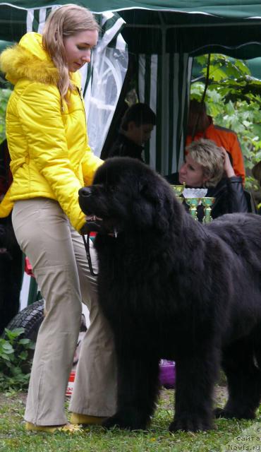 Фотография № 26904