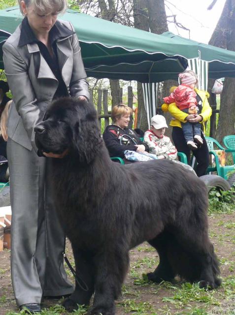 Фотография № 26905