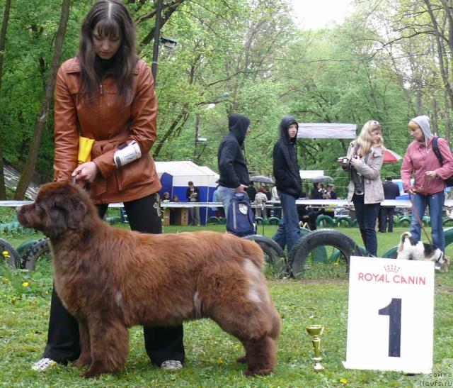 Фотография № 26907