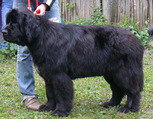 Фотография № 26909