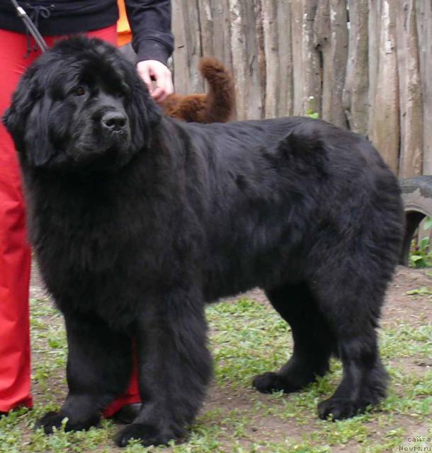 Фотография № 26911