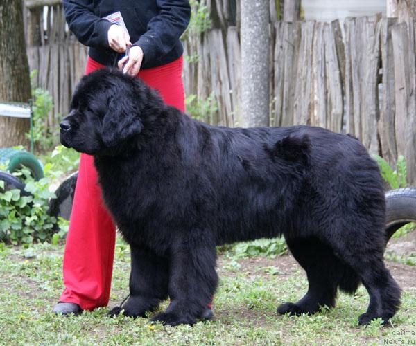 Фотография № 26939